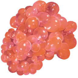 Echsenwelpe