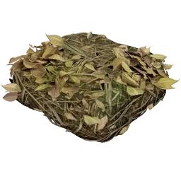 Biomasse