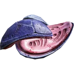 Krabbenbrüter Überreste