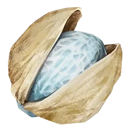 Beryllnuss
